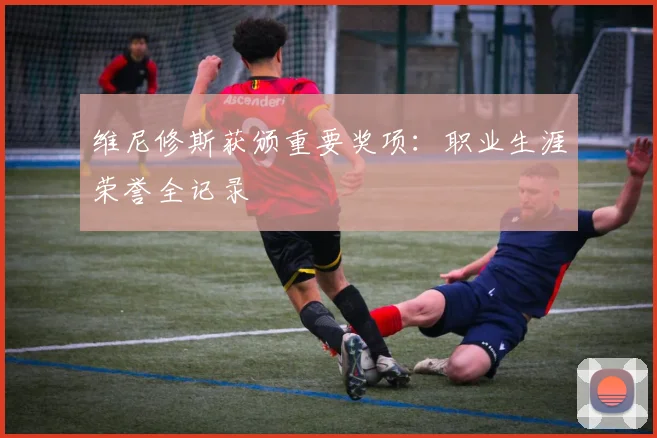 维尼修斯获颁重要奖项:职业生涯荣誉全记录