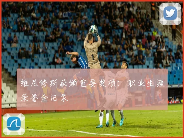 维尼修斯获颁重要奖项:职业生涯荣誉全记录