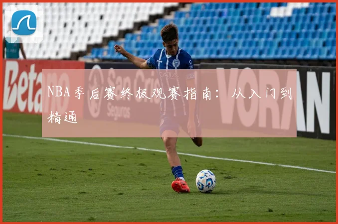 NBA季后赛终极观赛指南:从入门到精通