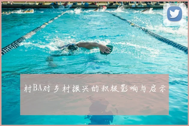村BA对乡村振兴的积极影响与启示